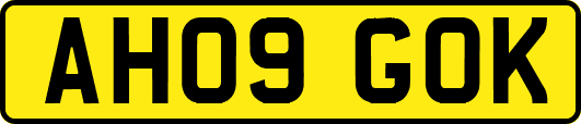 AH09GOK