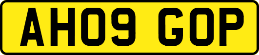 AH09GOP
