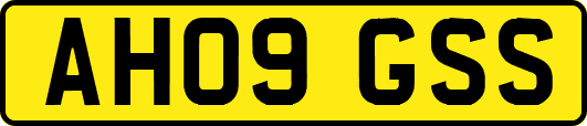 AH09GSS