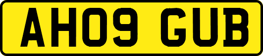AH09GUB