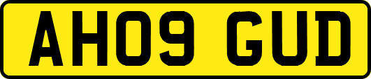 AH09GUD
