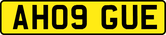 AH09GUE