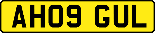 AH09GUL