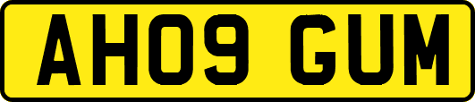 AH09GUM