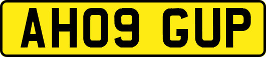 AH09GUP