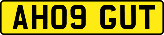 AH09GUT
