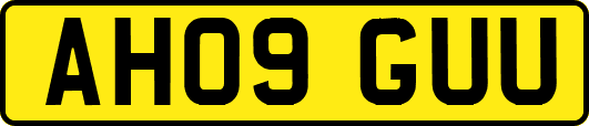 AH09GUU