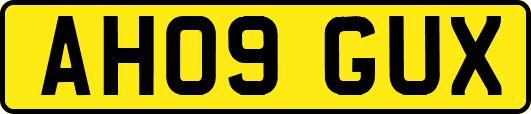 AH09GUX