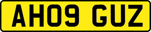 AH09GUZ