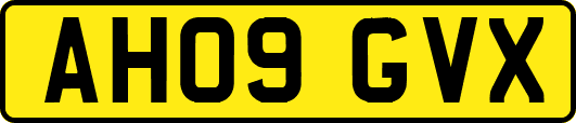 AH09GVX