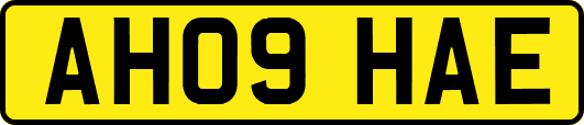 AH09HAE