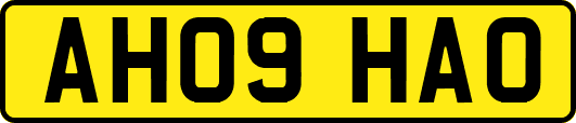 AH09HAO