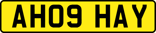 AH09HAY