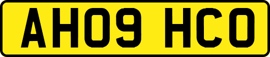 AH09HCO