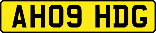 AH09HDG