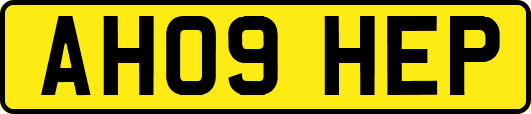 AH09HEP