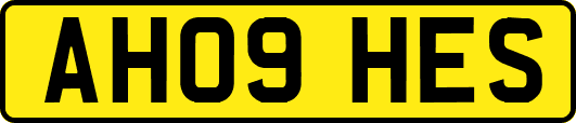AH09HES
