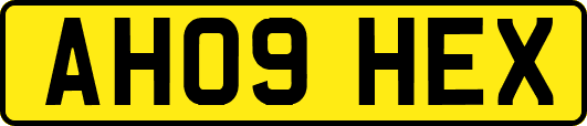 AH09HEX