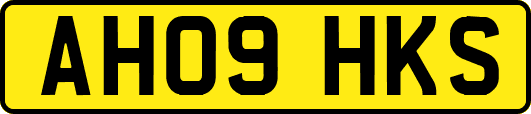AH09HKS