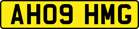 AH09HMG