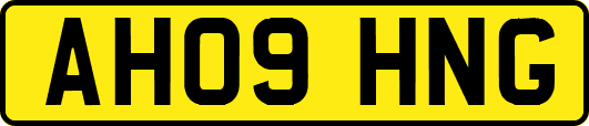 AH09HNG