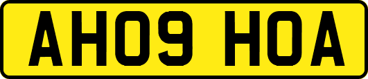 AH09HOA