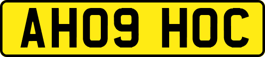 AH09HOC