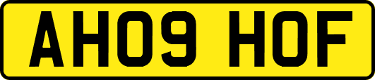 AH09HOF