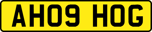 AH09HOG