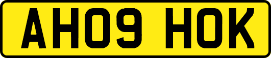 AH09HOK