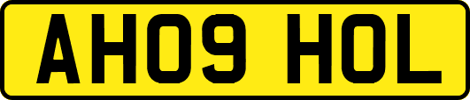 AH09HOL