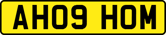 AH09HOM