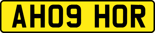 AH09HOR