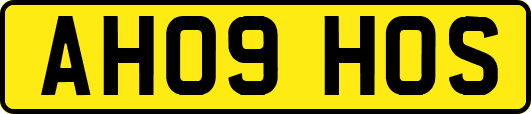 AH09HOS
