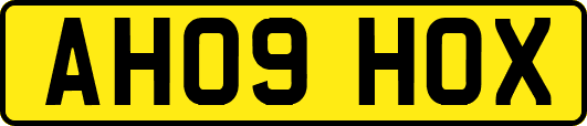 AH09HOX