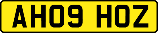 AH09HOZ