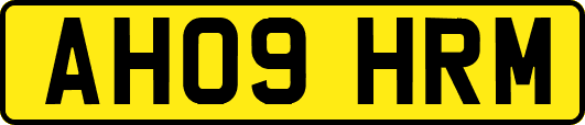 AH09HRM