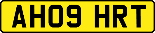 AH09HRT