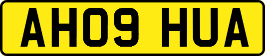 AH09HUA