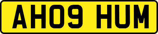 AH09HUM