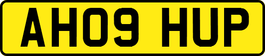 AH09HUP