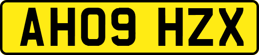AH09HZX