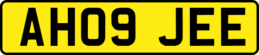 AH09JEE