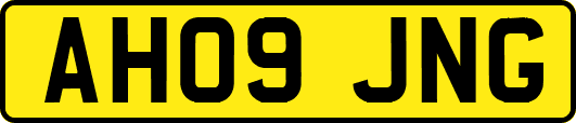 AH09JNG