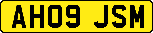 AH09JSM