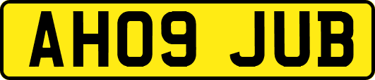 AH09JUB