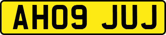 AH09JUJ