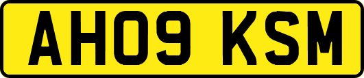 AH09KSM
