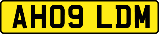 AH09LDM