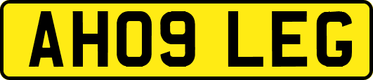 AH09LEG